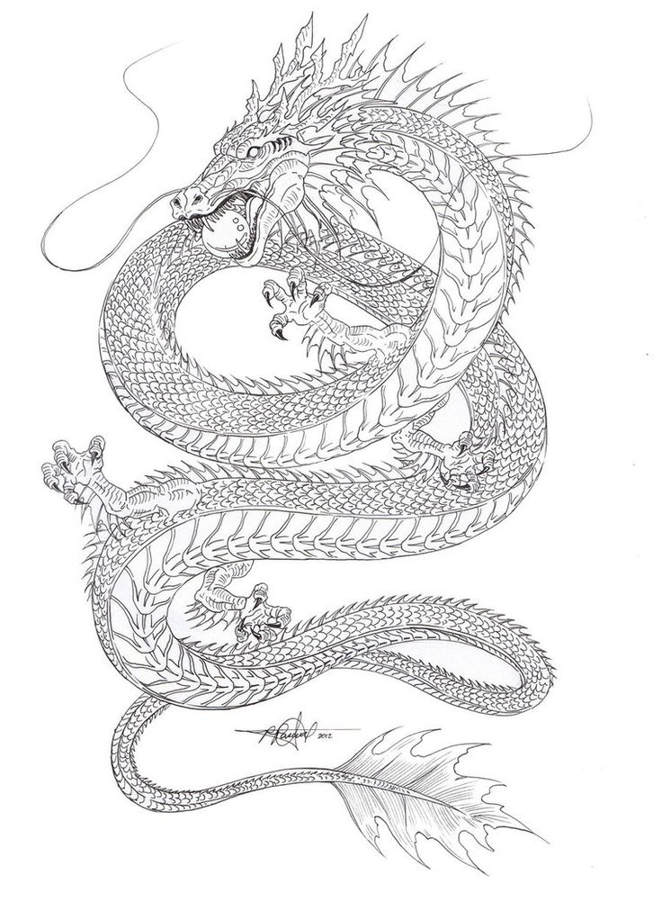 736x1012 Collection Of Chinese Dragon Tattoo Sketch - Chinese Lion Sketch