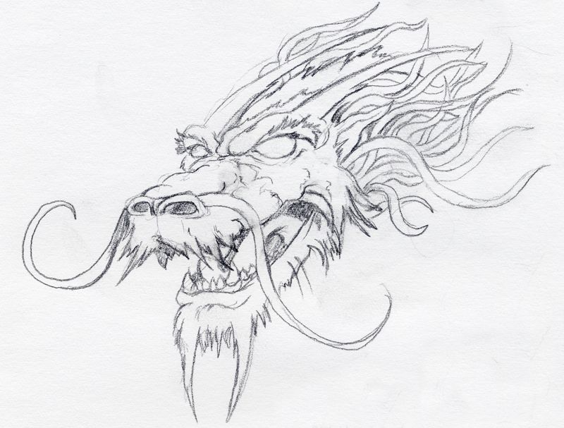 800x607 Dragon Head Art Stuff Dragon, Dragon Head And Tattoos - Chinese Lion Sketch