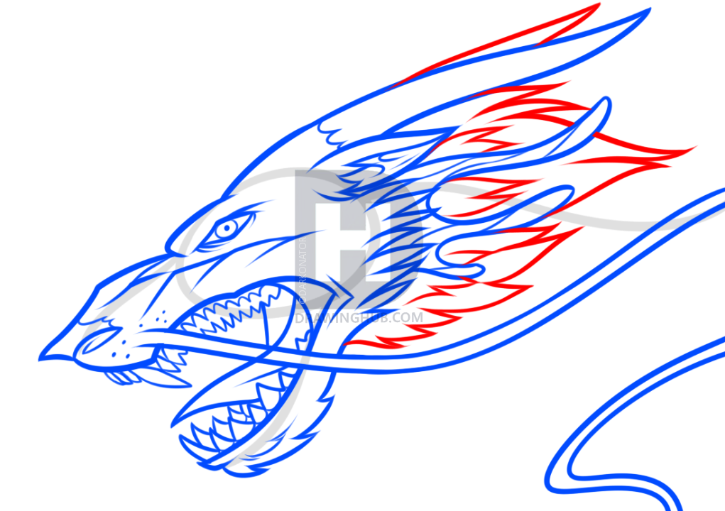 1021x720 Drawing A Chinese Dragon Head, Step By Step, Drawing Guide, By - Chinese Lion Sketch
