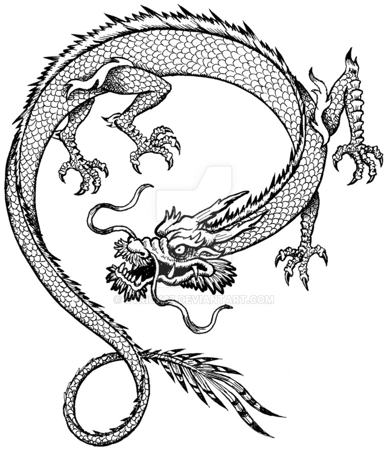 800x935 Chinese Dragon Sketch By Strick67 - Chinese Lion Sketch