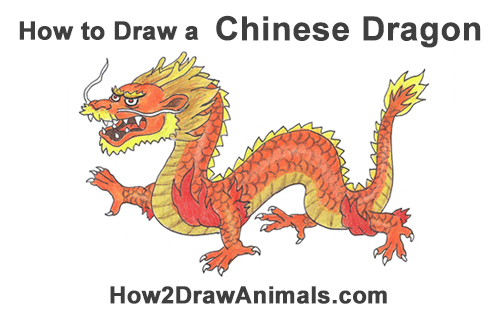 Chinese New Year Dragon Sketch at PaintingValley.com | Explore ...