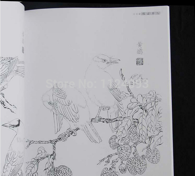 640x578 Online Shop Chinese Bird Gongbi Line Drawing Chinese Sketch - Chinese Sketch