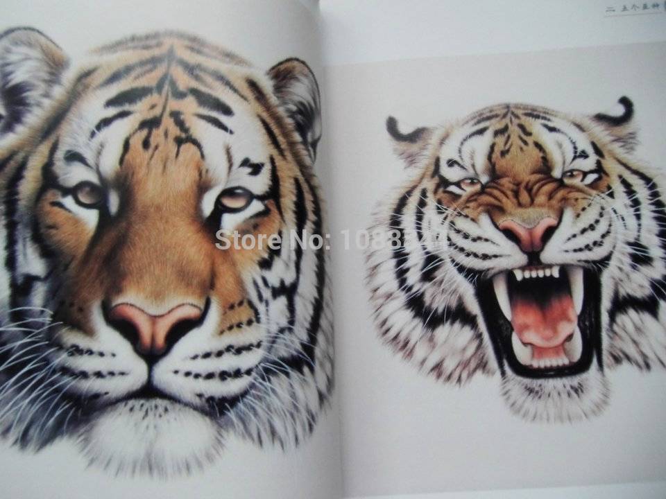 960x720 Free Shipping China Tiger Head Painting Book Reference For Tattoo - Chinese Tiger Sketch
