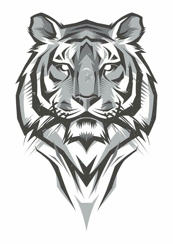 736x1041 Pin By Ashzman On Tattoo Tattoo, Tigers And Drawings - Chinese Tiger Sketch