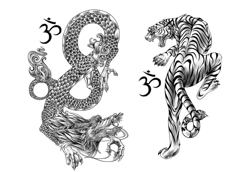 800x555 Ohm Tatoo Tiger And Dragon Tattoo - Chinese Tiger Sketch