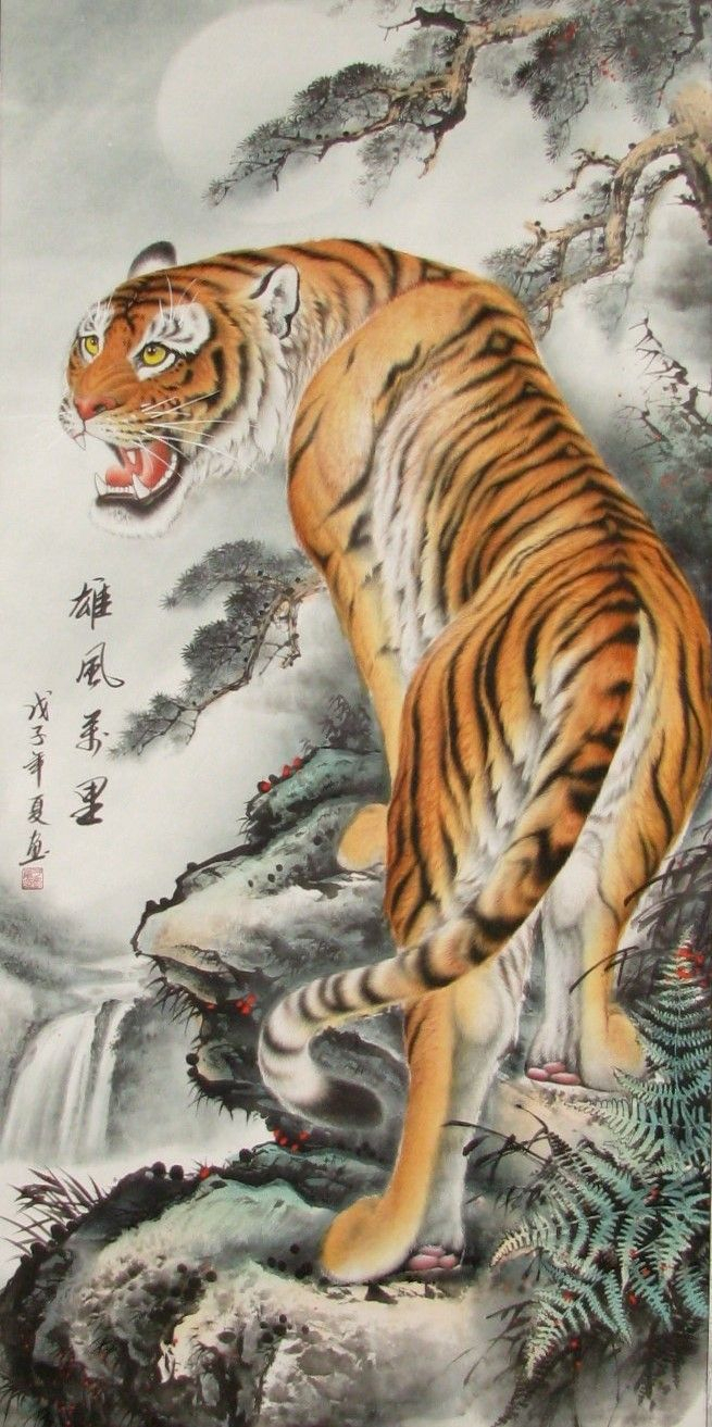 655x1313 Aasin Pencil Sketch Pic Chinese Tiger - Chinese Tiger Sketch