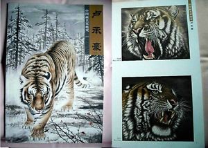 300x214 China Tiger Chinese Painting Book Reference For Tattoo Flash - Chinese Tiger Sketch