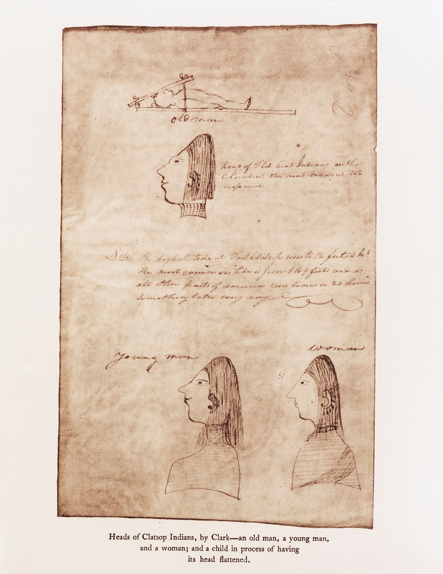 889x1152 Chinookan Head Flattening - Chinook Sketch
