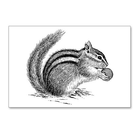 460x460 Chipmunk Sketch Postcards - Chipmunk Sketch