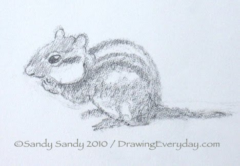 468x325 Drawing Everyday Chipmunk Sketch - Chipmunk Sketch