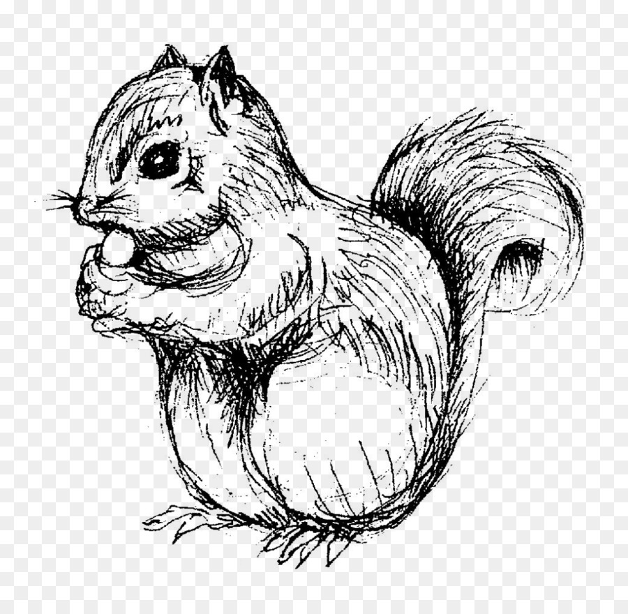 900x880 Squirrel Chipmunk Drawing Line Art Sketch - Chipmunk Sketch