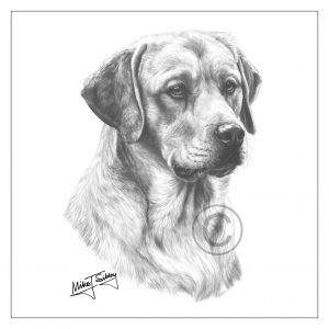 300x300 Chocolate Labrador Doorstop - Chocolate Lab Sketch