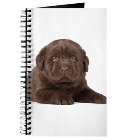 460x460 Chocolate Labrador Notebooks - Chocolate Lab Sketch
