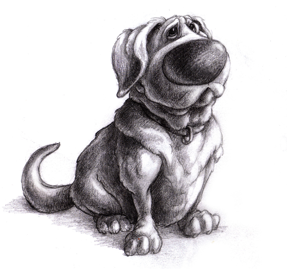 1000x937 Magellin . Blog Charlie The Chocolate Lab - Chocolate Lab Sketch