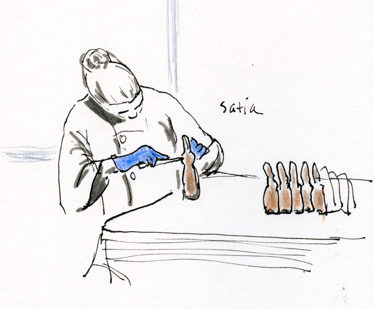 1209x1000 Fueled By Clouds Amp Coffee Chocolate Bunnies - Chocolate Sketch