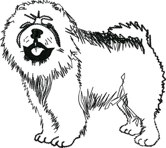 570x506 Chow Chow Dog Pencil Sketched Machine Embroidery Design Etsy - Chow Chow Sketch