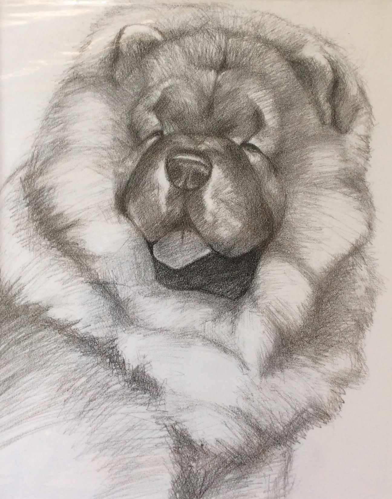 1296x1650 Print Of A Sketch Of A Chow Chow Puppy Named Winston. Curated By - Chow Chow Sketch