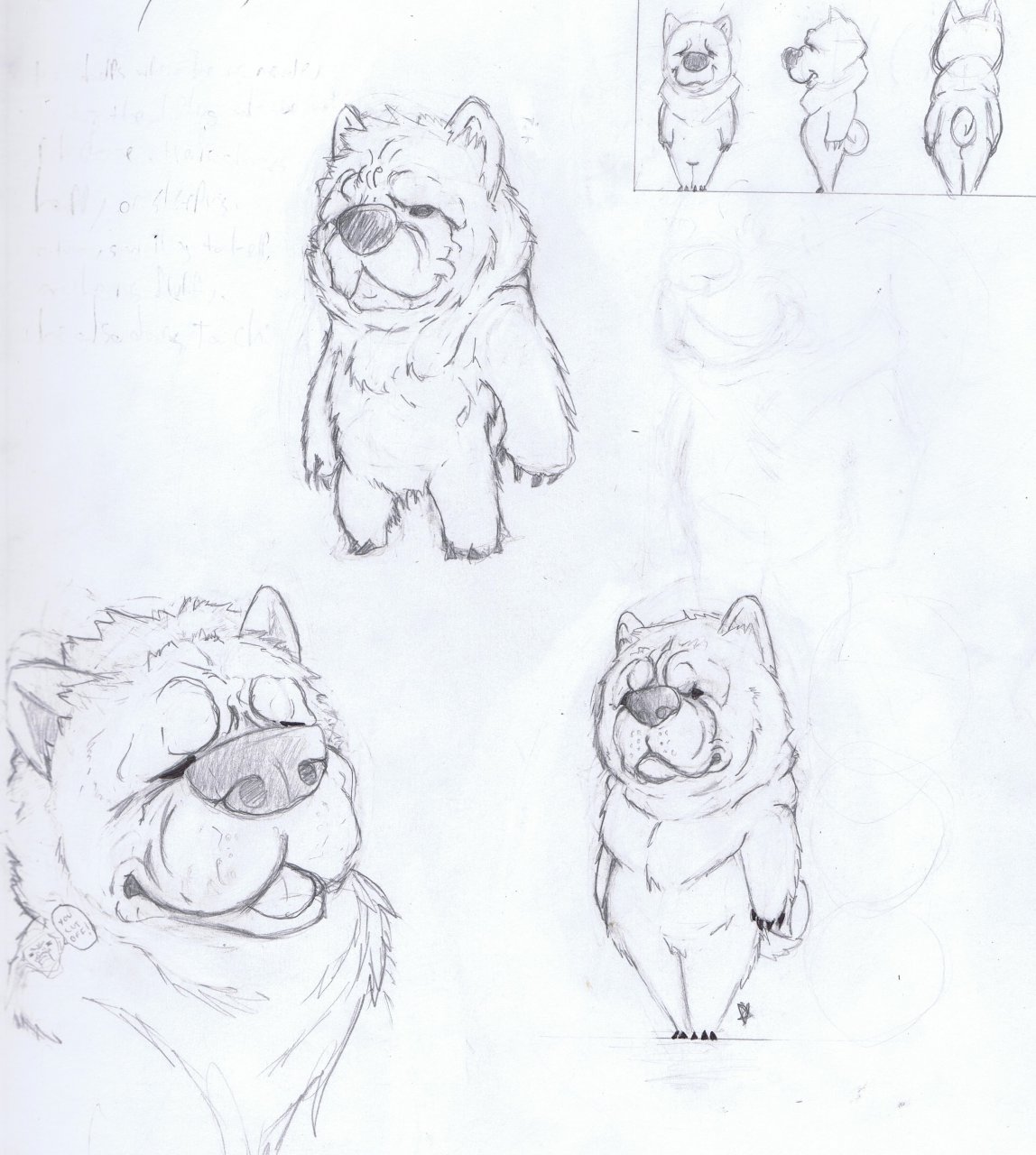 1148x1280 Sketch Chow Chow Development Weasyl - Chow Chow Sketch