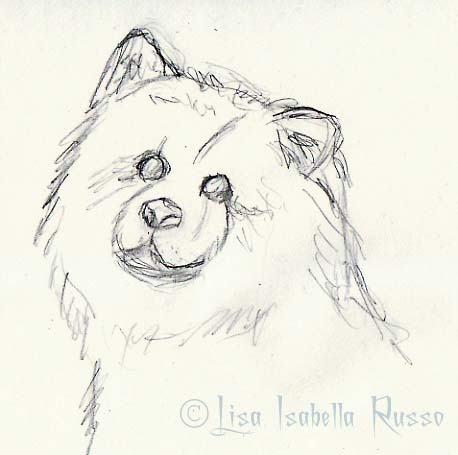 458x455 The Fine Art And Ramblings Of Lisa Isabella Russo Chow Chow Dog - Chow Chow Sketch