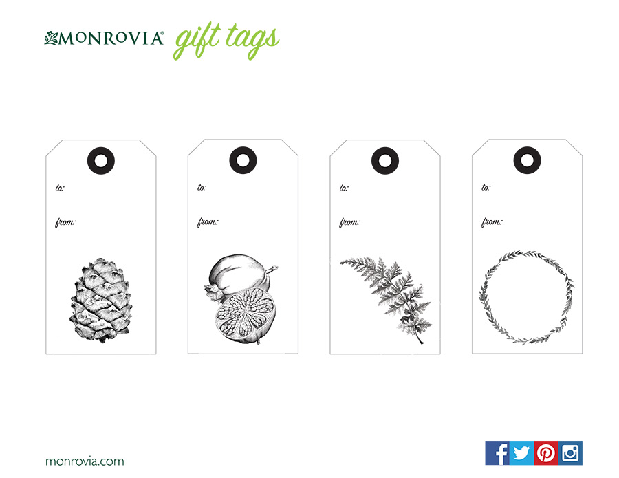 900x695 Holiday Gift Tags Monrovia - Christmas Gift Sketch