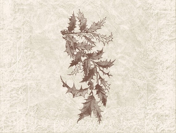570x430 Digital Christmas Holly Illustration Antique Vintage Etsy - Christmas Holly Sketch