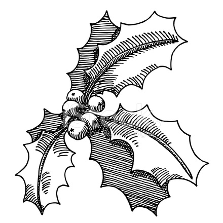 440x440 Holly Twig Christmas Decoration Drawing Stock Vector - Christmas Holly Sketch