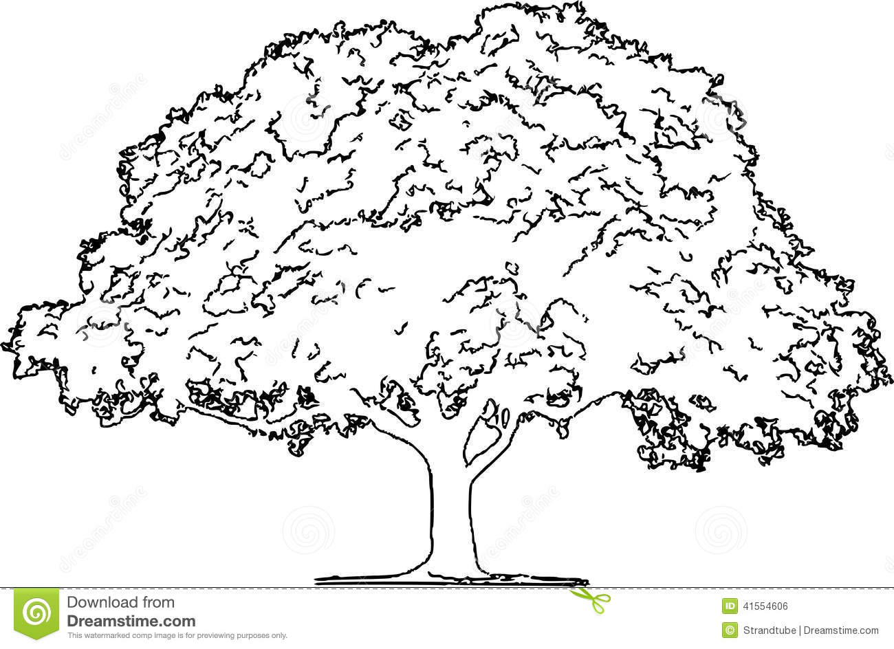 1300x944 Image Of Christmas Tree Sketch Pencil Drawing Christmas Tree - Christmas Light Sketch