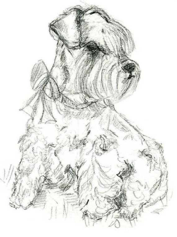 570x765 Pet Sketch Christmas Gift For Wife - Christmas Present Sketch
