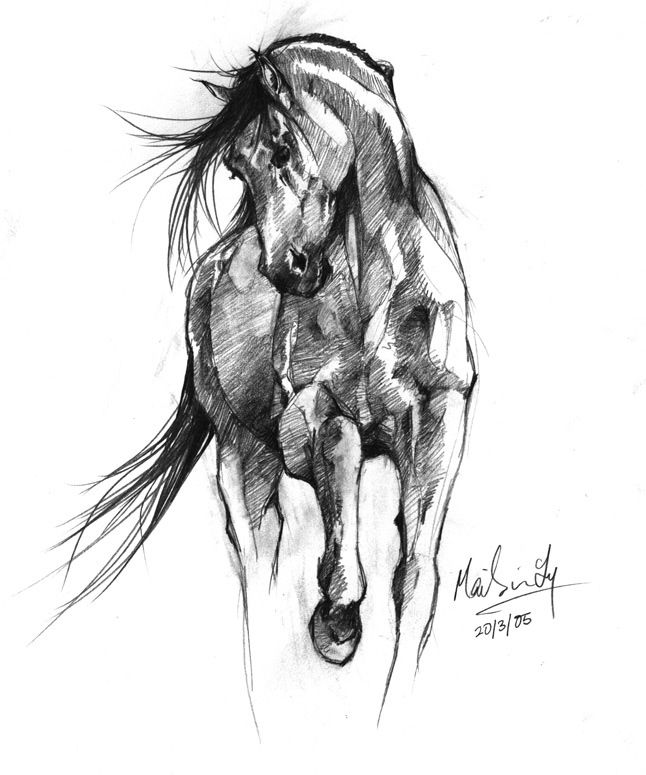 646x775 Collection Of Horse Sketch Drawing High Quality, Free - Christmas Sketch Ideas