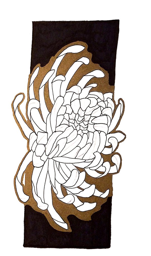 600x1015 Chrysanthemum Sketch By Bossanovacat - Chrysanthemum Sketch
