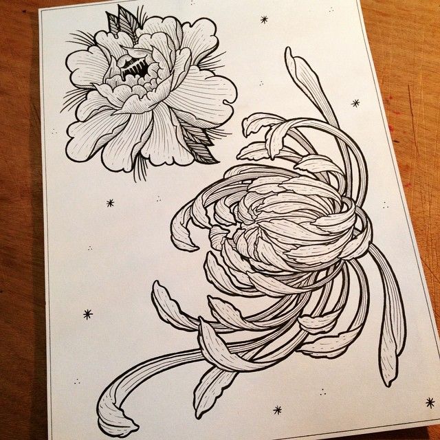 640x640 Peony Amp Chrysanthemum Tattoos Tattoos, Tattoo - Chrysanthemum Sketch