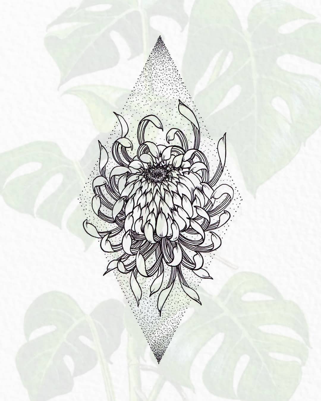 1080x1350 Chrysanthemum Sketch Drawing Tattoo On Instagram - Chrysanthemum Sketch