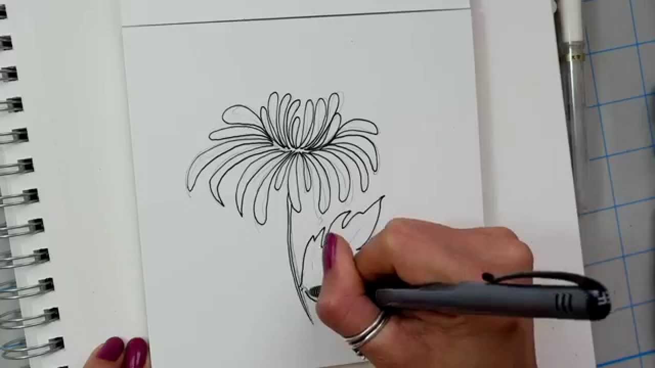 1280x720 How I Draw A Chrysanthemum Flower - Chrysanthemum Sketch