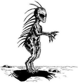 274x292 Chupacabra - Chupacabra Sketch