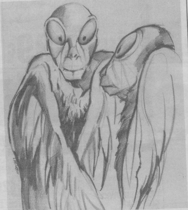 654x732 Chupacabra Home Page - Chupacabra Sketch