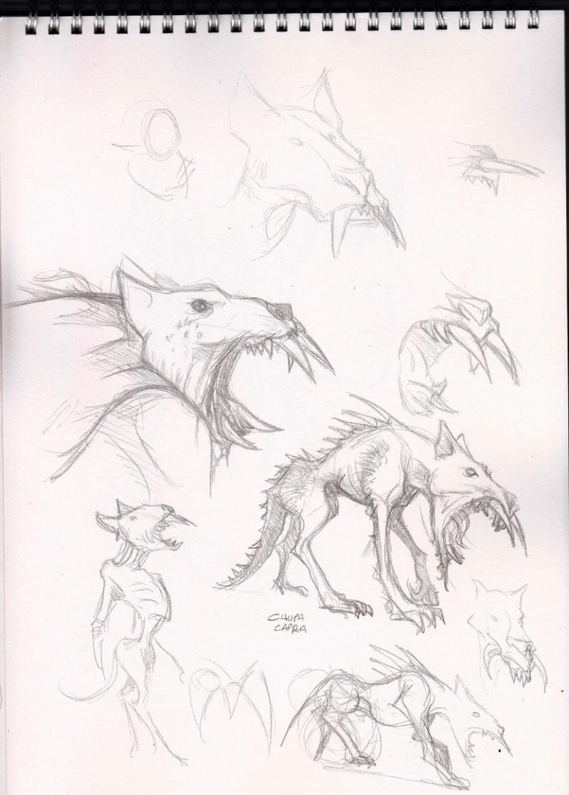 800x1117 Chupacabra Sketch Wip - Chupacabra Sketch