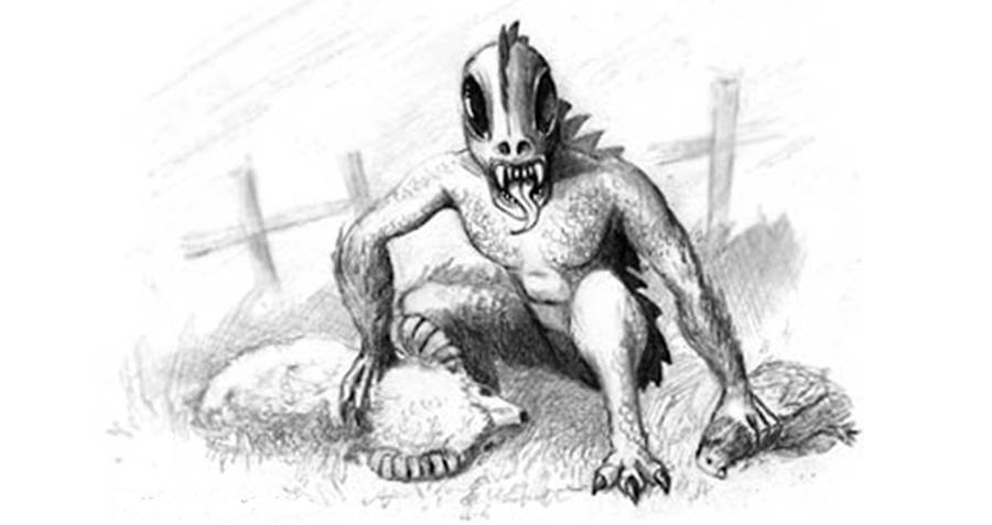 900x477 The Truth Behind The Legend Of The Chupacabra - Chupacabra Sketch