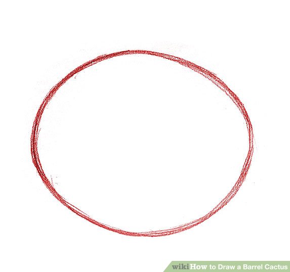 573x538 How To Draw A Barrel Cactus 6 Steps (With Pictures) - Circle Sketch
