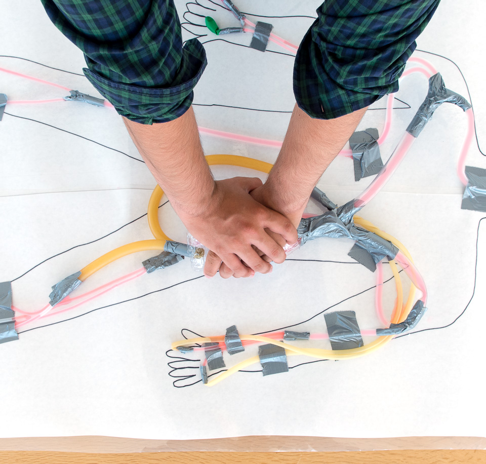 960x916 Re Engineering The Circulatory System Biology Amp Engineering - Circulatory System Sketch