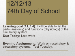 260x195 Sketch Of The Circulatory System - Circulatory System Sketch