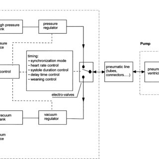 320x320 B). Mock Circulatory System View Of The System. Download - Circulatory System Sketch