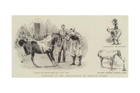 473x315 Sketches - Circus Sketch