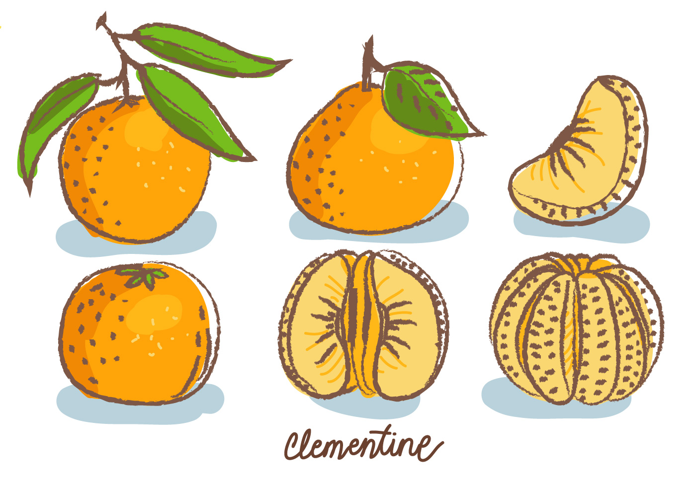 1400x980 Clementine Doodle Sketch Vector Illustration - Clementine Sketch