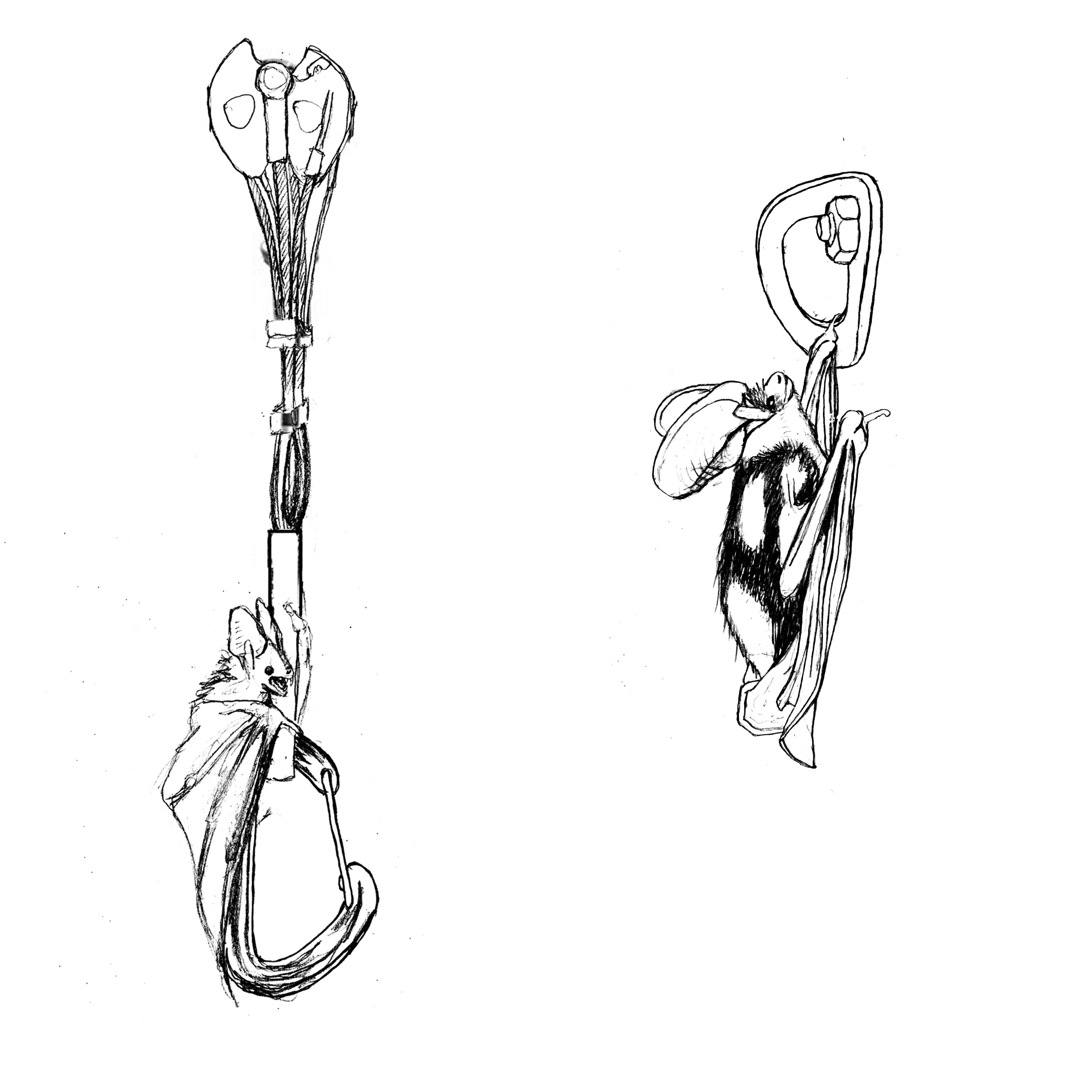 3600x3600 Sketches For Bat Conservationclimbing Inspired Shirts Climbing - Climbing Sketch
