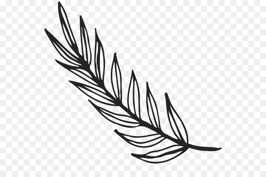 900x600 Clip Art Leaf Drawing Plants Sketch - Clip Sketch