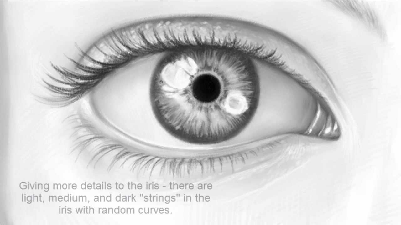 1280x720 How To Draw The Realistic Eye (Close Up) - Closed Eyes Sketch