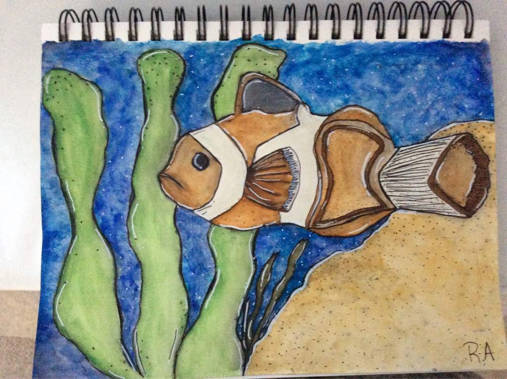 1024x765 Clown Fish Watercolour Painting Art Amino - Clown Fish Sketch