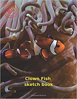 260x335 Clown Fish Sketch Book Blank Paper For Drawing, Doodling Or - Clown Fish Sketch