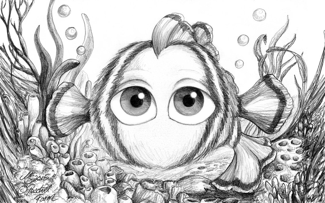 1131x707 Clownfish Puschel - Clown Fish Sketch