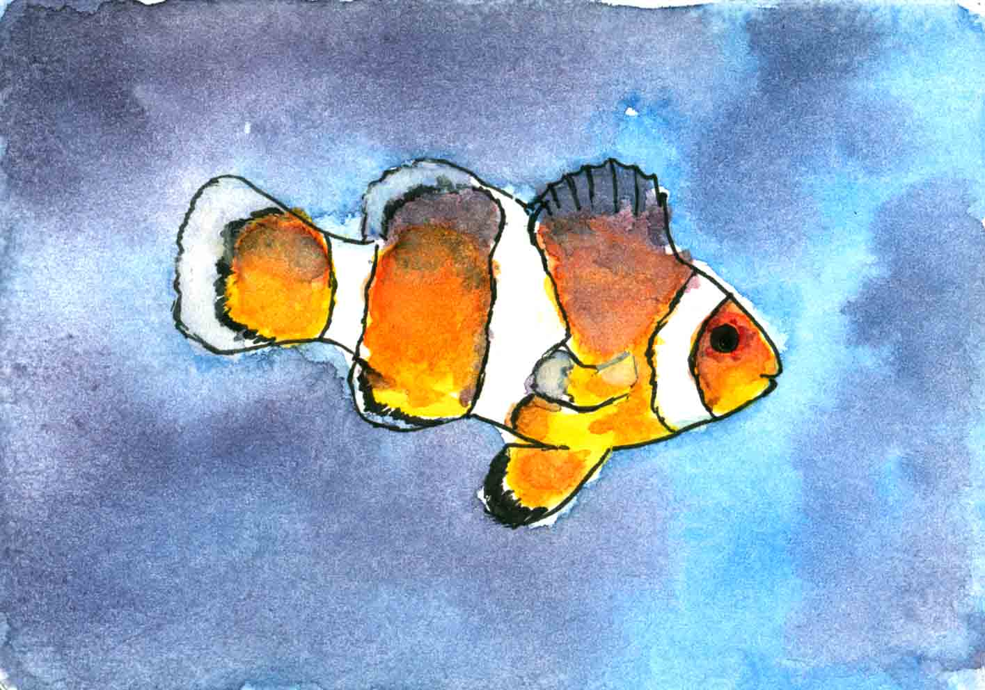 Clown Fish Sketch at PaintingValley.com | Explore collection of Clown ...